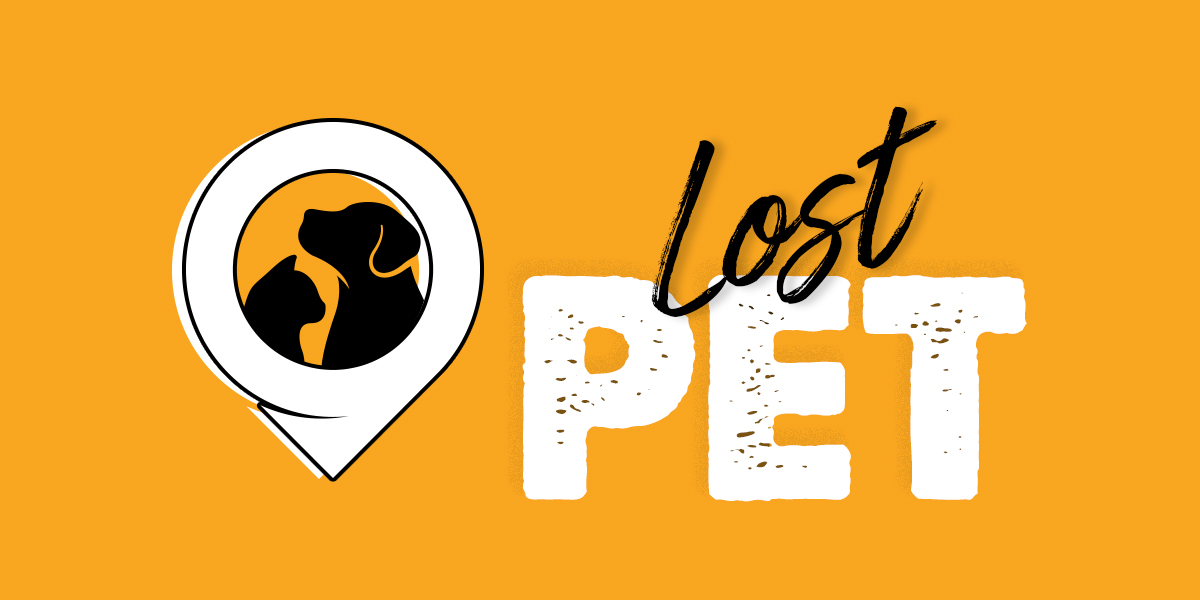 Lost Pet